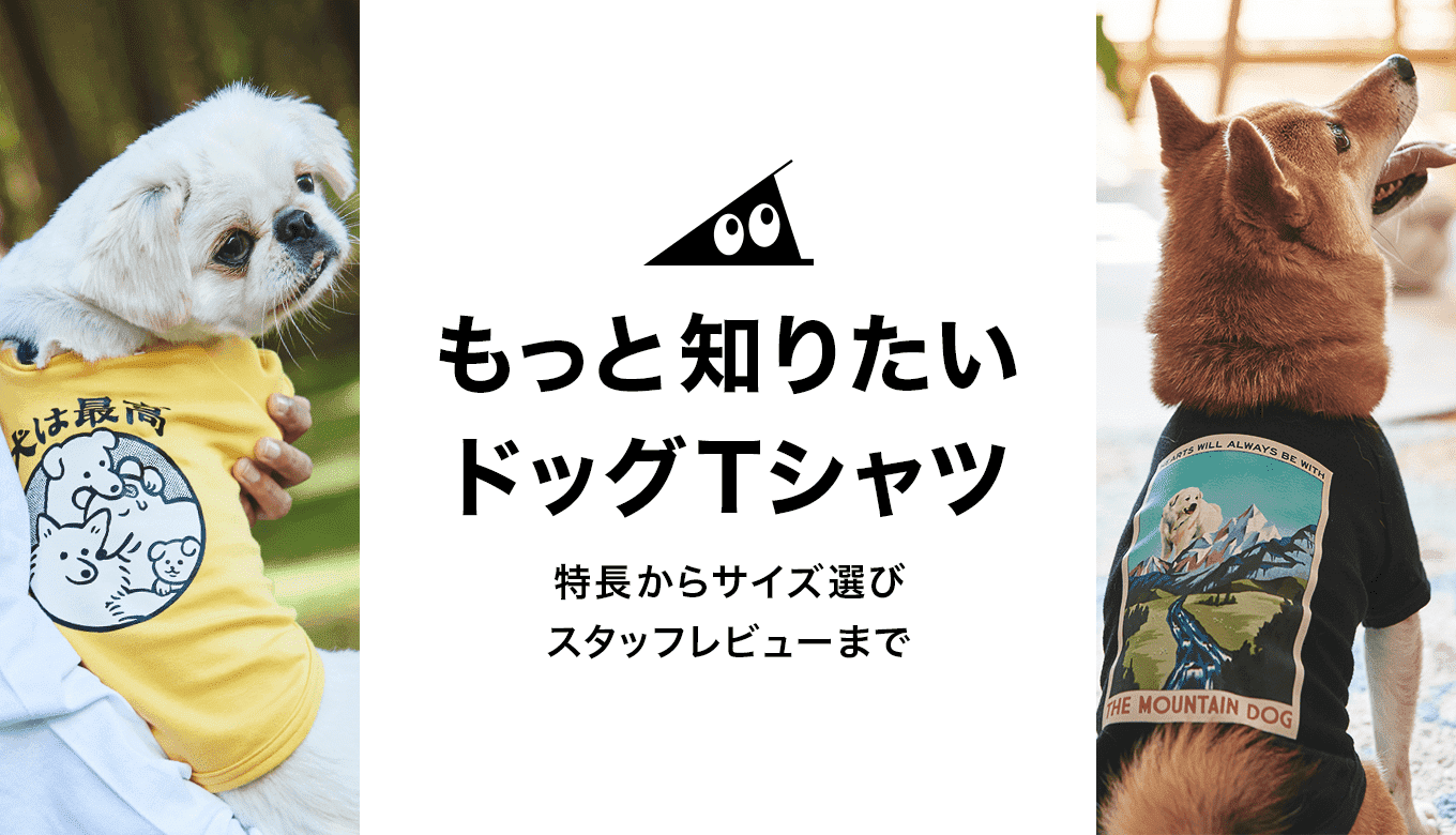 Learn more about dog t-shirts! From features to size selection to staff reviews. (The article is in Japanese)